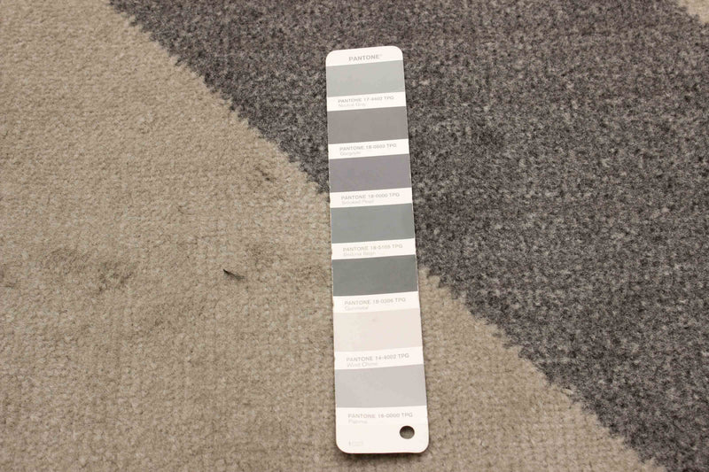 Carpette Bianca grise - 5 pi 0 po x 8 pi 0 po