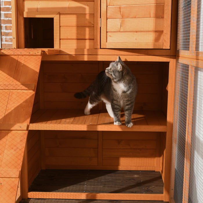 Pawhut Grande Maison Pour Chat D'exterieur En Bois Avec Grand Enclos Pour Jouer, Zone De Condo Pour Dormir, Naturel