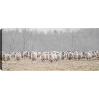 Œuvre d’art murale « Flock of Sheep » sur toile - 21 po x 48 po