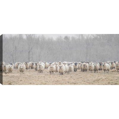 Flock of Sheep Canvas Wall Art - 21" x 48" | Œuvre d’art murale « Flock of Sheep » sur toile - 21 po x 48 po