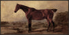 Œuvre d’art tactile en acrylique encadrée « Horse » - 25 po x 49 po