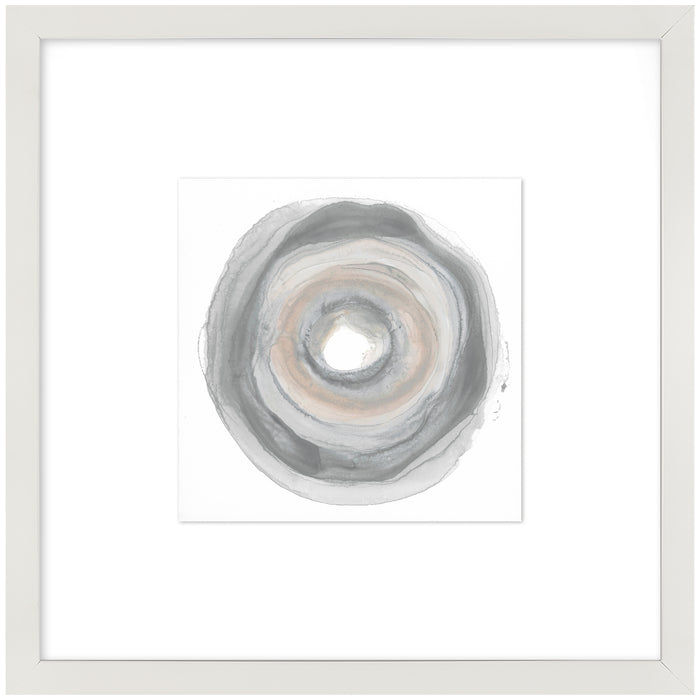 Œuvre d’art encadrée et surélevée sous verre « Sea Shell II » avec passe-partout - 24 po x 24 po