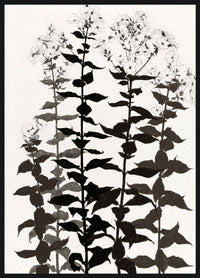 Œuvre d’art encadrée très lustrée « Botanica » - 33 po x 45 po