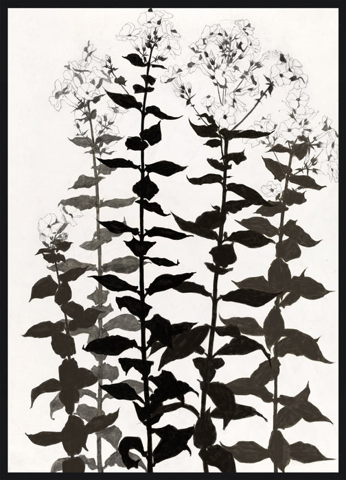 Œuvre d’art encadrée très lustrée « Botanica » - 33 po x 45 po