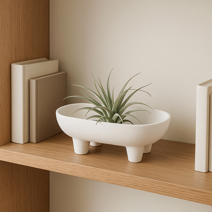 Bol rectangulaire arrondi de 10 po en céramique - blanc 