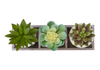 Artificial Potted Plants – set of 3  | Plantes artificielles en pot - ensemble de 3
