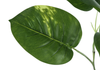 54” Artificial Indoor Dieffenbachia in 6” Pot  | Dieffenbachia artificiel de 54 po en pot de 6 po pour l’intérieur
