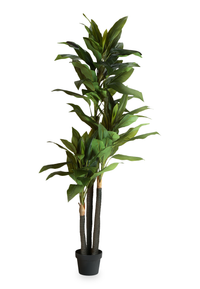 Dracaena artificiel de 82,75 po en pot de 8 po pour l’intérieur