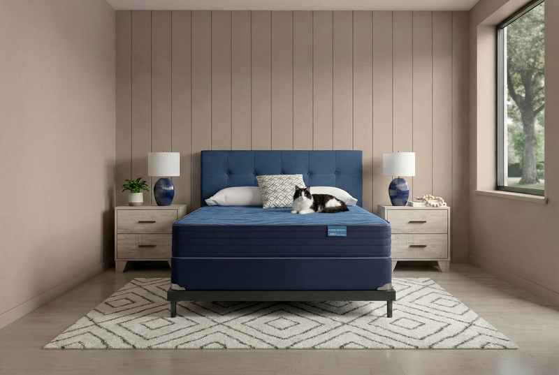 Ensemble matelas ferme à plateau régulier San Marino de Springwall pour grand lit