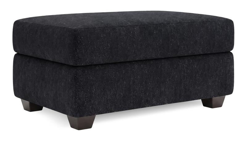 Pouf de rangement personnalisable Trunk de Sofa Lab de 39 po fabriqué au Canada en tissu - Teddy Raven