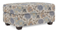  Pouf de rangement personnalisable Trunk de Sofa Lab de 39 po fabriqué au Canada en tissu - tissu décoratif Dragonfly