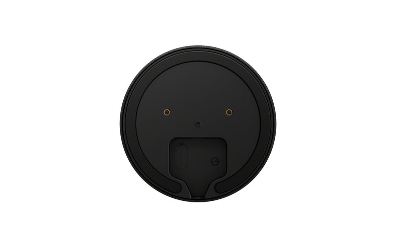 Haut-parleur arrière sans fil Bravia Theatre Rear 9 de Sony (8937102)