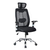 Fauteuil de bureau ergonomique en mailles TygerClaw à dossier haut avec appuie-tête - noir
