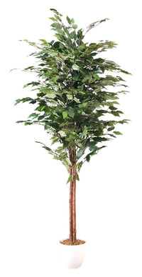  Plante artificielle Ficus altissima 60 po