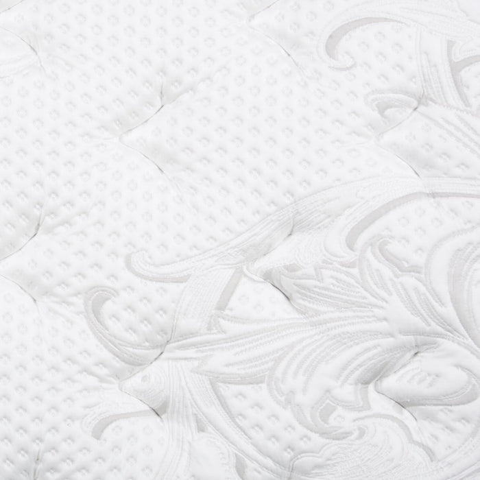 Ensemble matelas à Euro-plateau Moyen Berwick de Scott Living pour lit simple