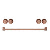 Ensemble de poignées et de boutons Thor Kitchen or rose pour cuisinière de 30 po - CKA-RG30-RSG