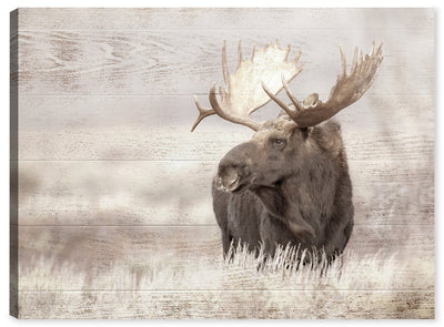 Lone Moose Canvas Artwork – 30" x 40" | Œuvre d’art « Lone Moose » sur toile - 30 po x 40 po
