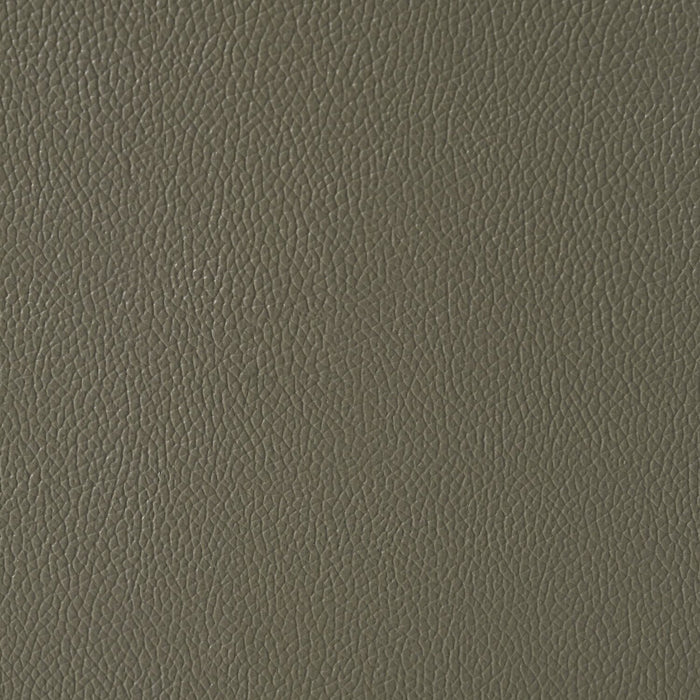 Causeuse à inclinaison électrique Matteo de 64 po en cuir véritable - gris Aviarah