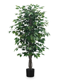 Ficus artificiel de 58 po en pot de 6 po