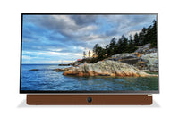   Écran à DEL Companion PortableMC de Skyworth Full HD 1080p avec Google TVMC (24P100)