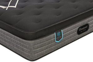 Matelas luxueux ferme à Euro-plateau Presidential Suite de série Hotel de Beautyrest BlackMD pour lit double