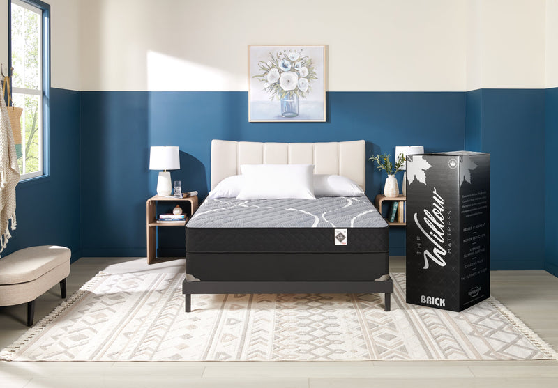 Matelas ferme à plateau régulier dans une boîte White Birch de Springwall pour lit simple très long