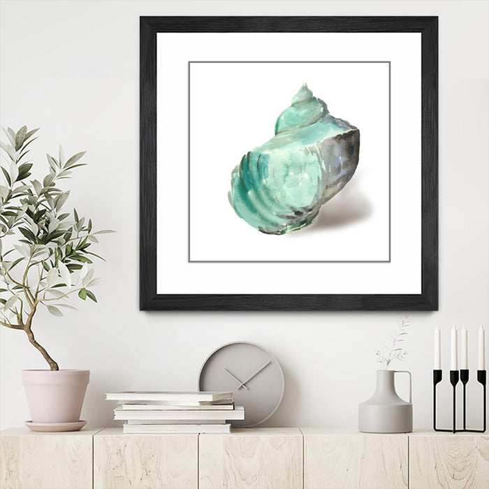 Œuvre d’art murale encadrée noire et mate « Shell In Mint » 36 x 36