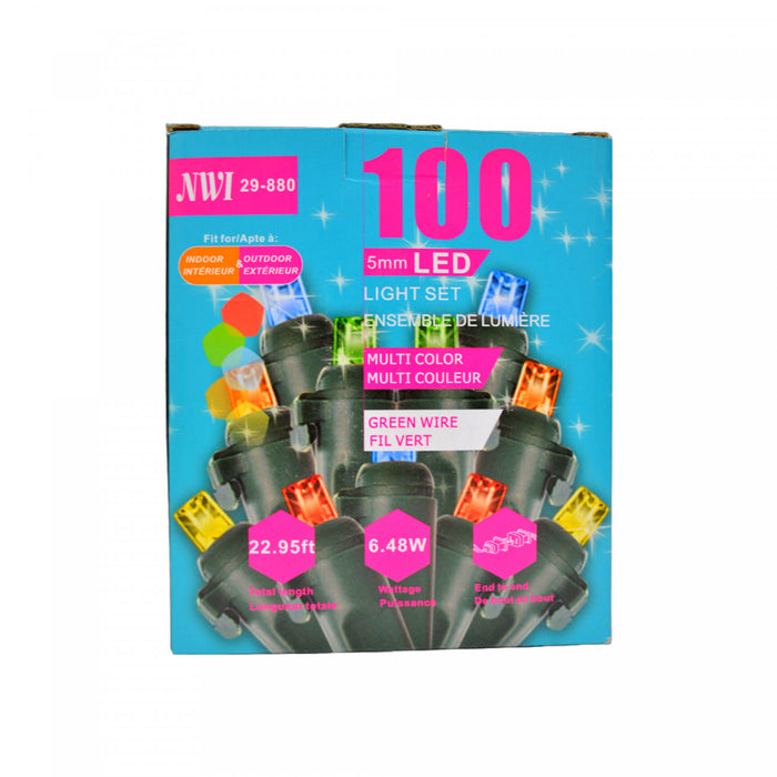 Jeu de 100 lumières à DEL de 5 mm pour l’intérieur et l’extérieur avec ampoules multicolores - ensemble de 2 jeux de lumières de Noël