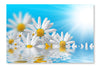  Spring Flowers Background 16 po x 24 po : Cadre d'art mural et panneau de tissu
