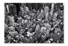  New York City 24 po x 36 po : Cadre d'art mural et panneau de tissu