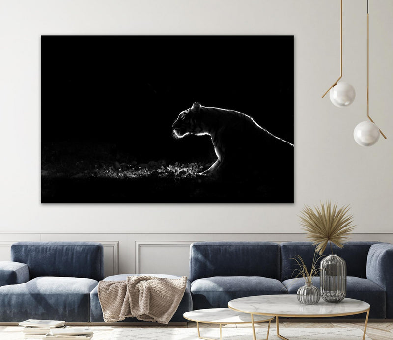 Œuvre d’art murale Giant Art « Amot - Untitled » 72 x 48