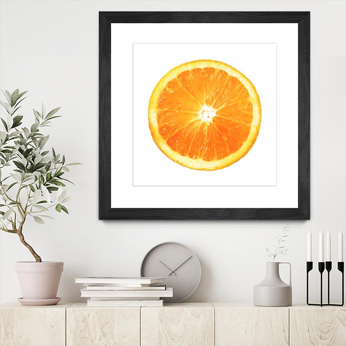 Œuvre d’art murale encadrée noire et mate « Citrus Cultivar » 36 x 36