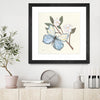 "In The Garden Butterfly" Matted and Framed Black 36x36 Wall Art