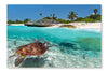 Caribbean Sea Scenery with Green Turtle 28 po x 42 po : Oeuvre d’art murale en panneau de tissu sans cadre