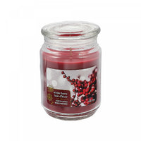 Bougie parfumée dans un pot de 18 oz à arôme de baie d’hiver - ensemble de 2 bougies