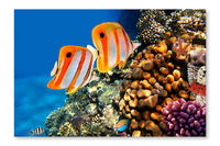 Coral Reef and Copperband Butterflyfish 28 po x 42 po : Oeuvre d’art murale en panneau de tissu sans cadre