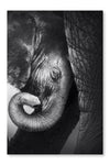Baby Elephant Seeking Comfort 24 po x 36 po : Oeuvre d’art murale en panneau de tissu sans cadre