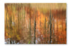  Autumn Forest Reflection 24 po x 36 po : Cadre d'art mural et panneau de tissu