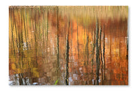  Autumn Forest Reflection 24 po x 36 po : Cadre d'art mural et panneau de tissu