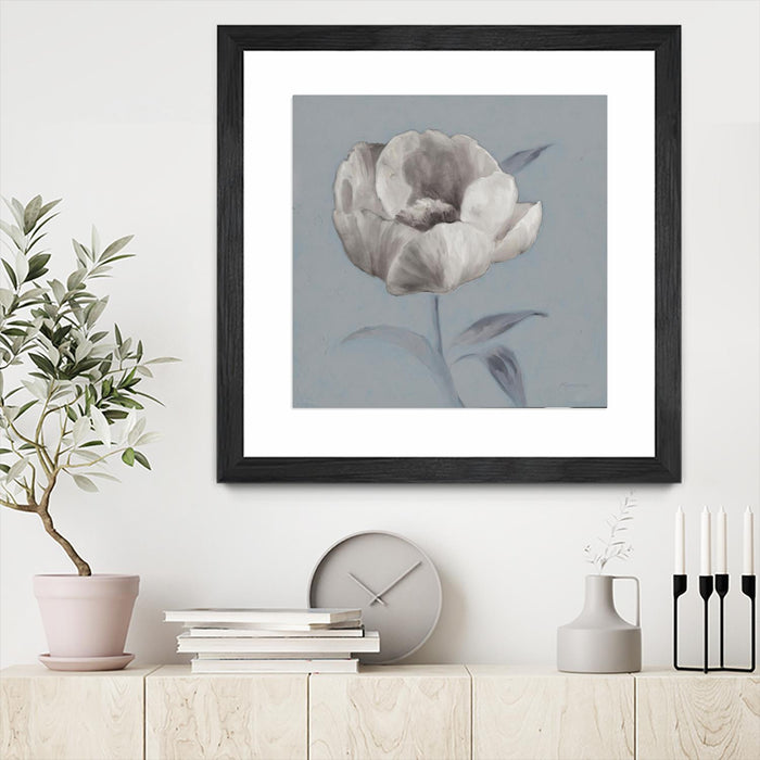 Œuvre d’art murale encadrée noire et mate « Floral Symposium I » 30 x 30