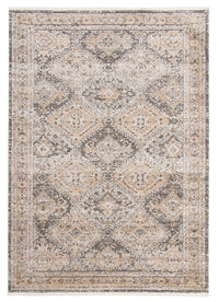 Carpette Leandra taupe/grise 6 pi 7 po x 9 pi 6 po