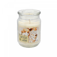 Bougie parfumée dans un pot de 18 oz à arôme de sablé à la vanille - ensemble de 2 bougies