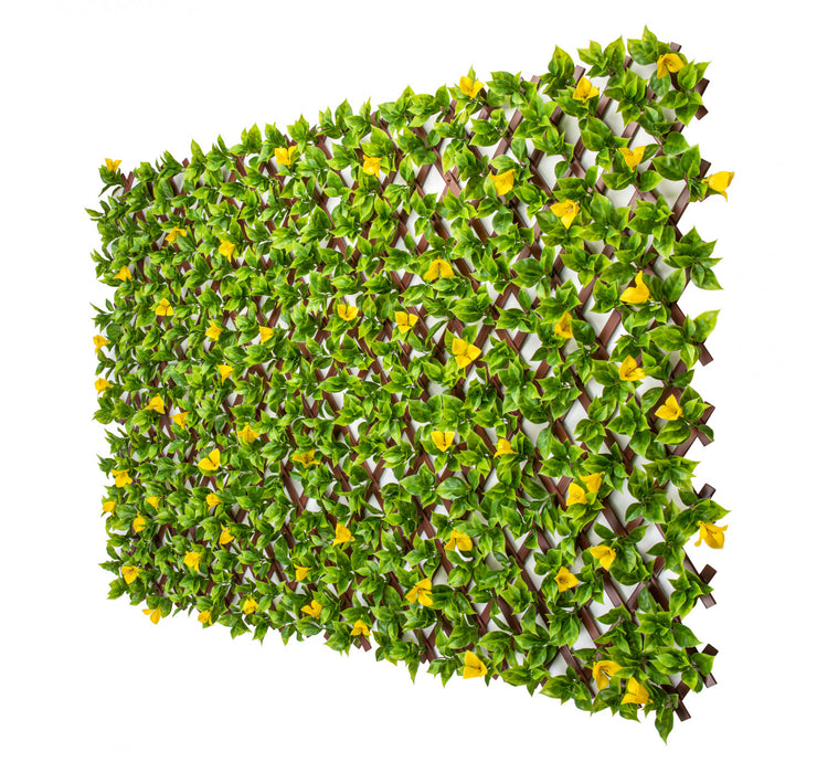 Treillis de PVC extensible 36 po x 72 po avec feuilles de clématite jaunes