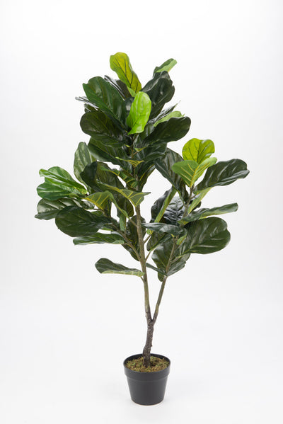 Artificial 49" Fiddle Leaf In Black Pot 
