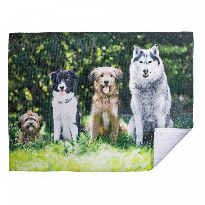 Tapis d’égouttage en microfibre orné d’amis à quatre pattes - ensemble de 2