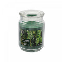 Bougie parfumée dans un pot de 18 oz à arôme de magie de Noël - ensemble de 2 bougies