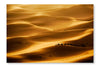  Camel Caravan 28 po x 42 po : Cadre d'art mural et panneau de tissu