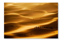  Camel Caravan 28 po x 42 po : Cadre d'art mural et panneau de tissu