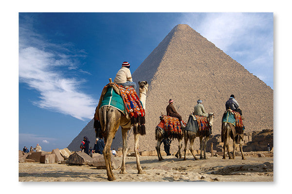  Bedouin On Camel Near Of Egypt Pyramid 16 po x 24 po : Cadre d'art mural et panneau de tissu