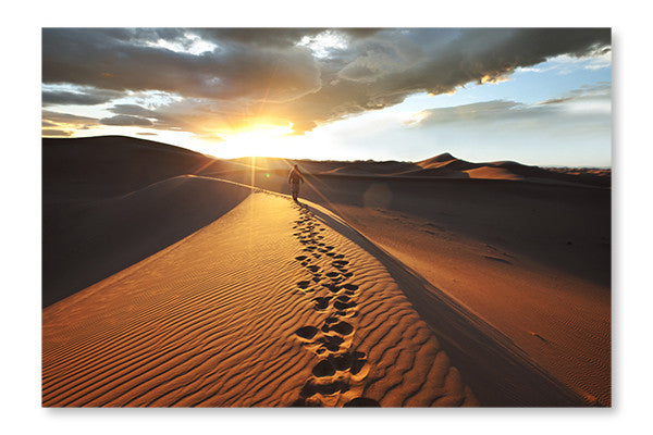  Hike In Desert 16 po x 24 po : Cadre d'art mural et panneau de tissu